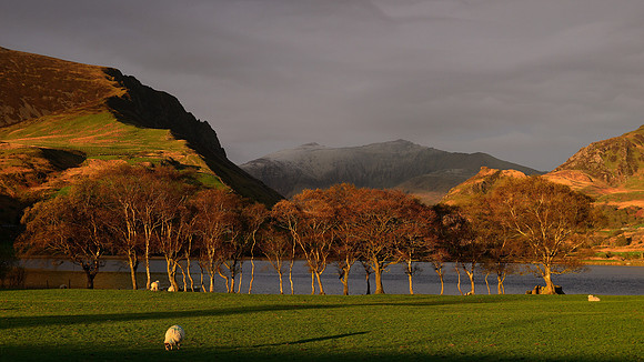 Snowdonia