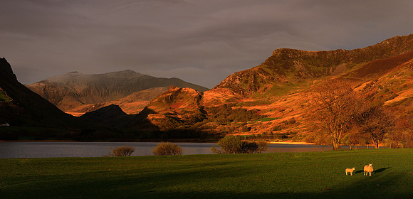 Snowdonia