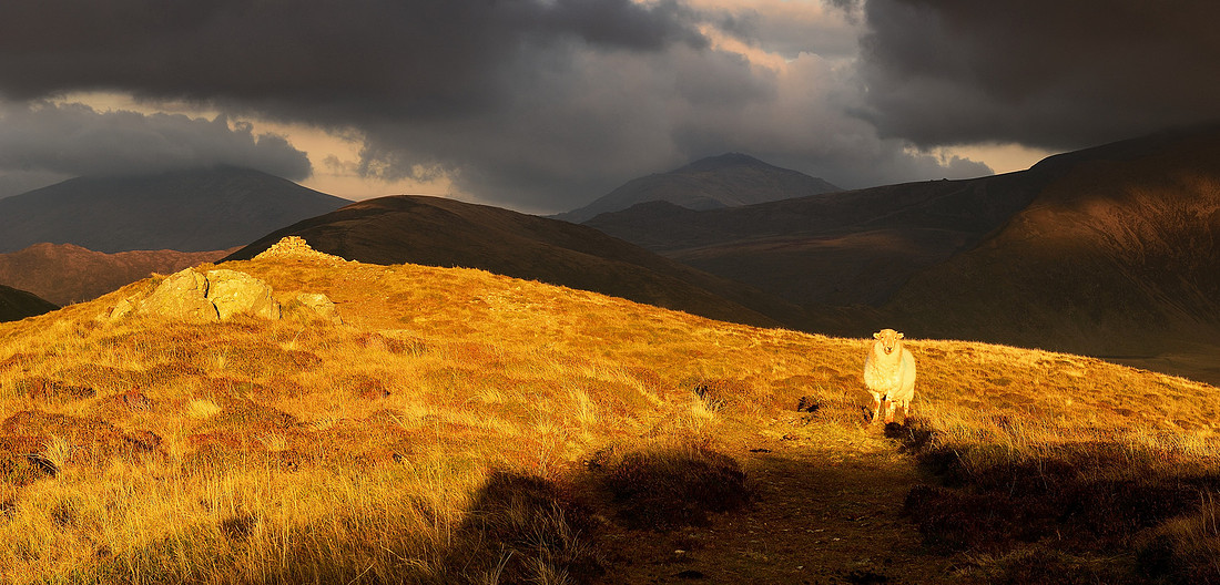 Snowdonia