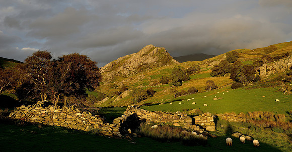 Snowdonia