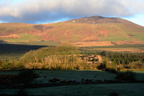 Snowdonia