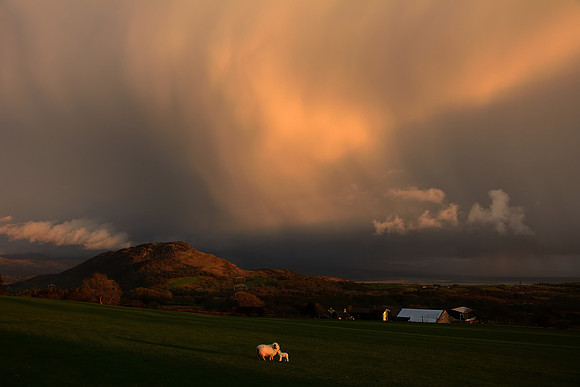 Snowdonia