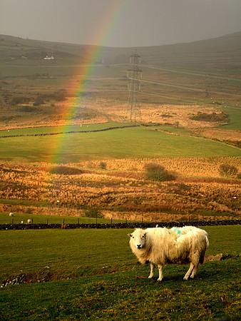 Snowdonia
