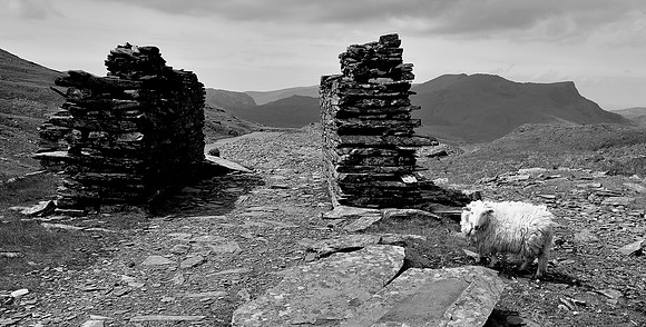 Snowdonia