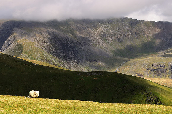 Moel Eilio