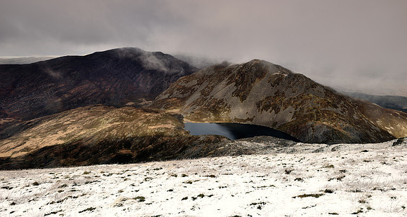 The Rhinogydd