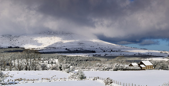 Winter Scene