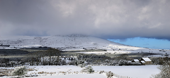 Winter Scene