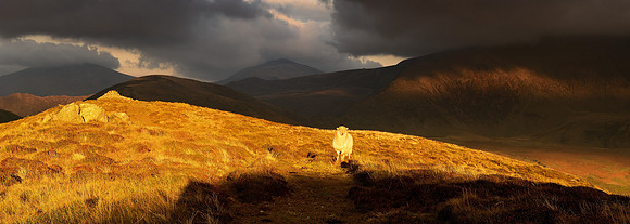 Snowdonia