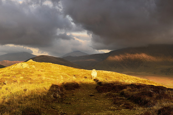Snowdonia