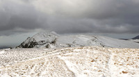 The Moelwynion