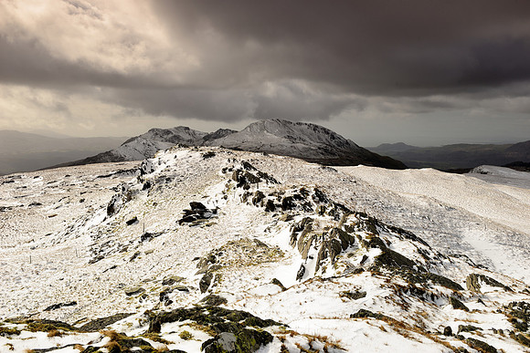 The Moelwynion