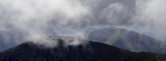 Walkers