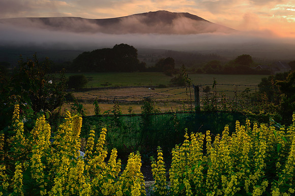 Snowdonia