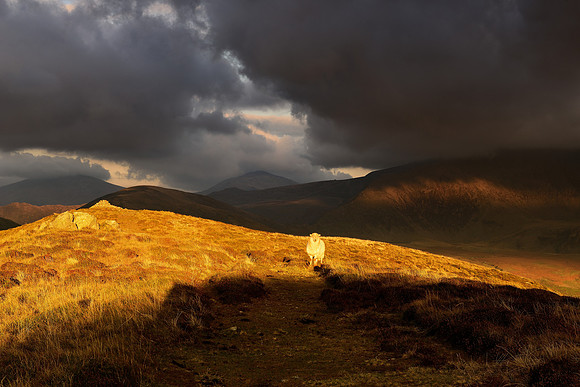 Snowdonia